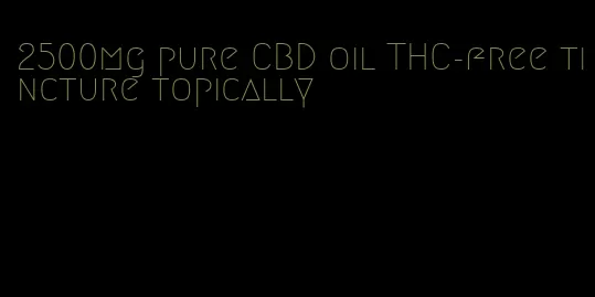 2500mg pure CBD oil THC-free tincture topically