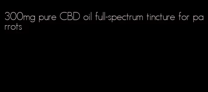 300mg pure CBD oil full-spectrum tincture for parrots