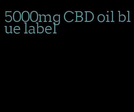 5000mg CBD oil blue label