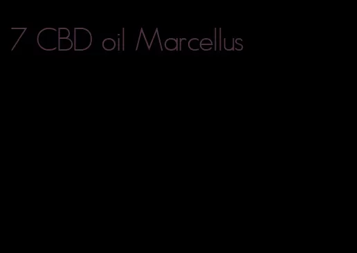 7 CBD oil Marcellus