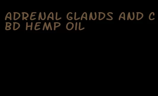 adrenal glands and CBD hemp oil