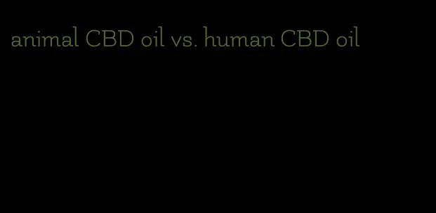 animal CBD oil vs. human CBD oil