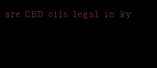 are CBD oils legal in ky