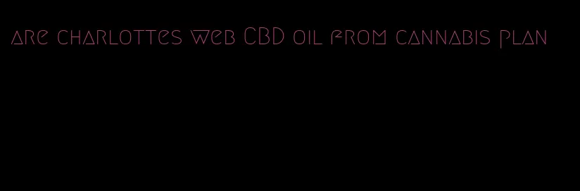 are charlottes web CBD oil from cannabis plan