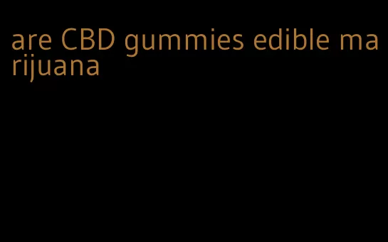 are CBD gummies edible marijuana