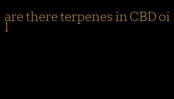 are there terpenes in CBD oil