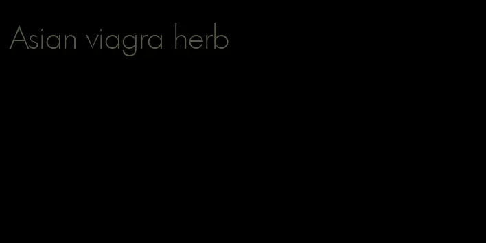 Asian viagra herb