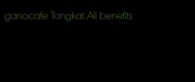 ganocafe Tongkat Ali benefits