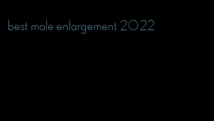 best male enlargement 2022