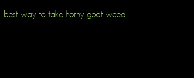 best way to take horny goat weed