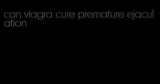 can viagra cure premature ejaculation