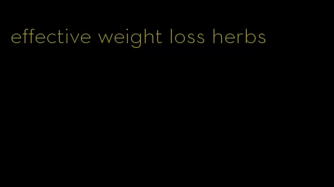 effective weight loss herbs