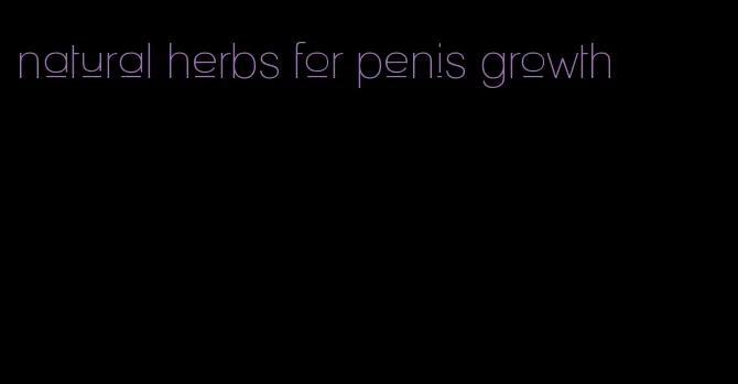 natural herbs for penis growth