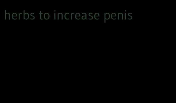 herbs to increase penis