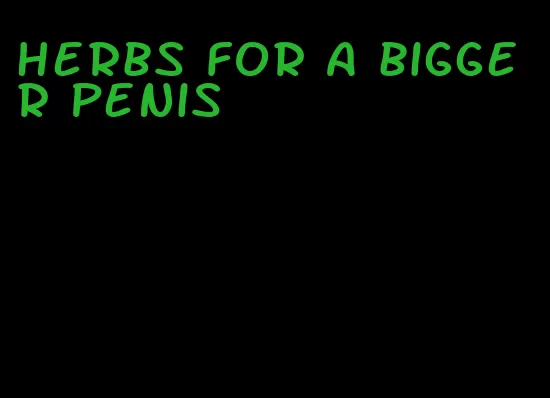 herbs for a bigger penis