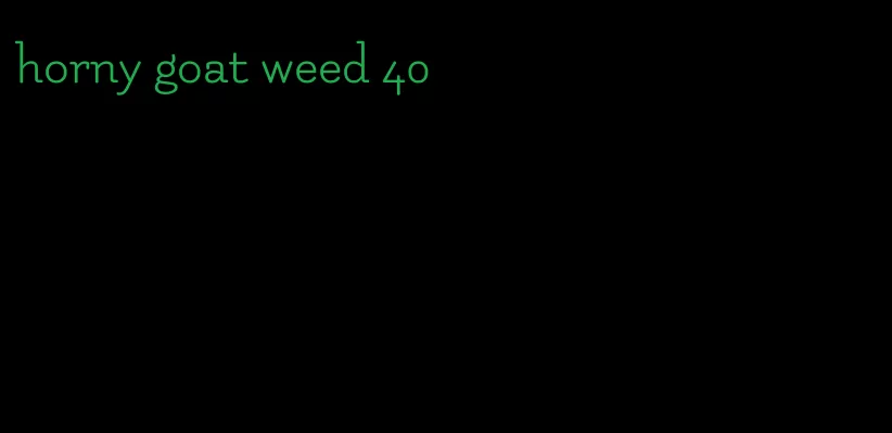 horny goat weed 40