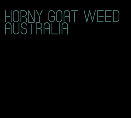 horny goat weed Australia