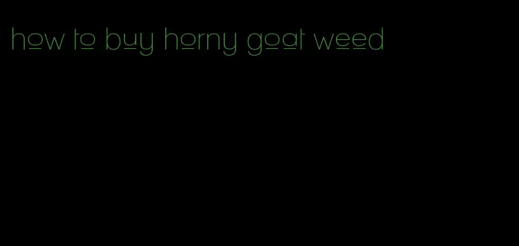 how to buy horny goat weed