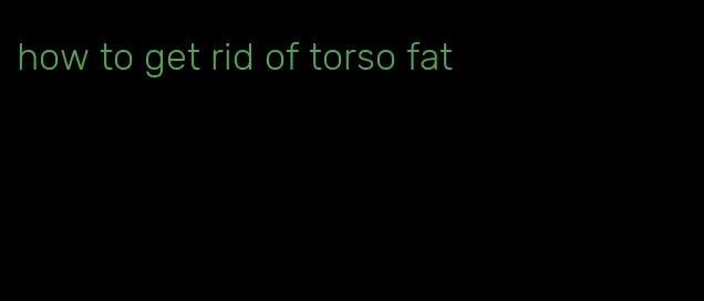 how to get rid of torso fat