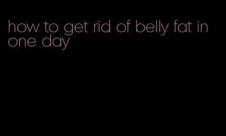 how to get rid of belly fat in one day