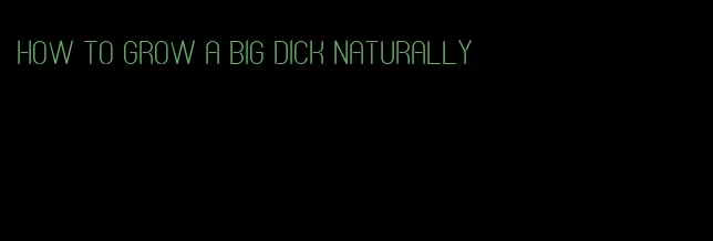 how to grow a big dick naturally