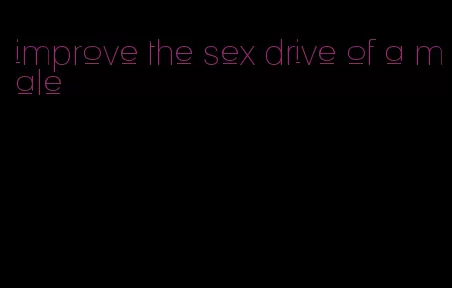 improve the sex drive of a male