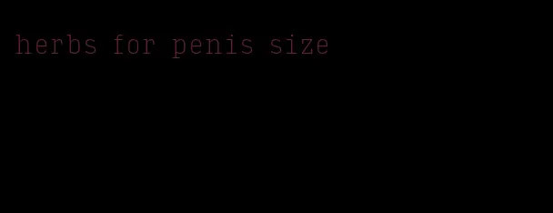 herbs for penis size