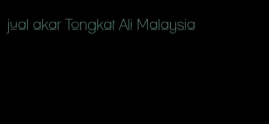 jual akar Tongkat Ali Malaysia