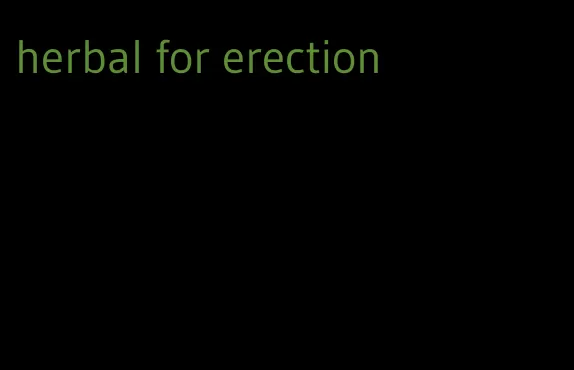 herbal for erection