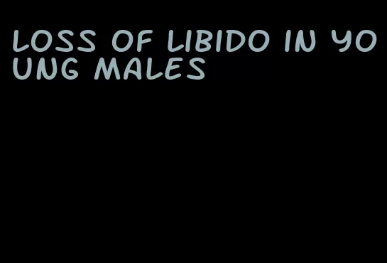 loss of libido in young males