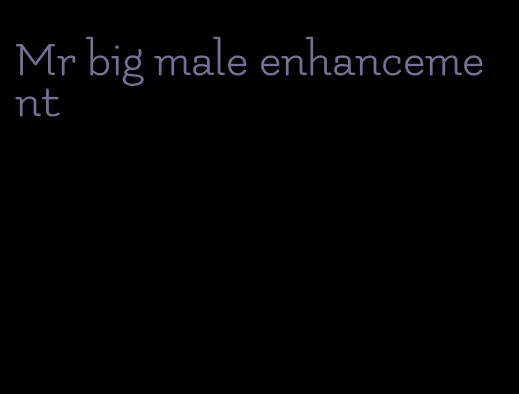 Mr big male enhancement