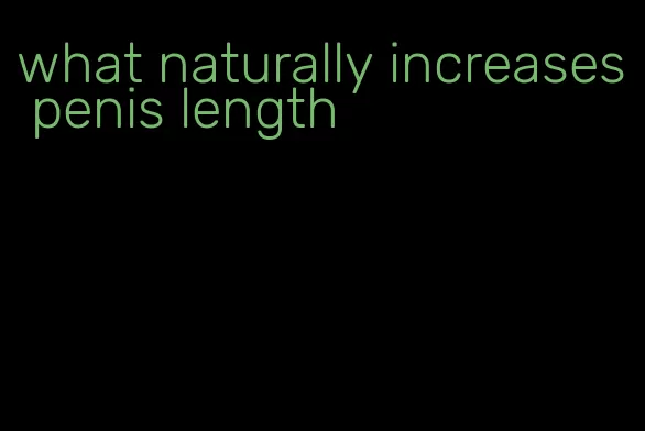 what naturally increases penis length