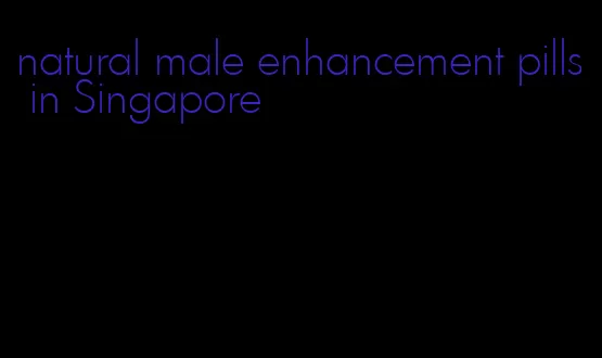 natural male enhancement pills in Singapore