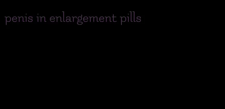 penis in enlargement pills