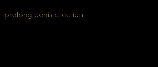prolong penis erection