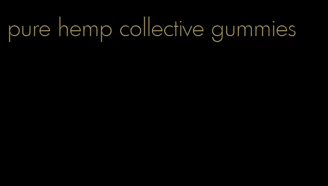 pure hemp collective gummies