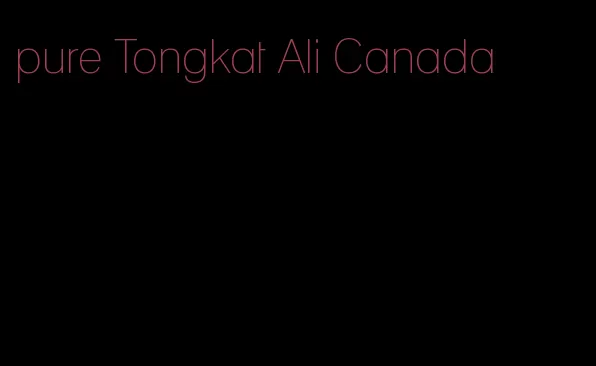 pure Tongkat Ali Canada