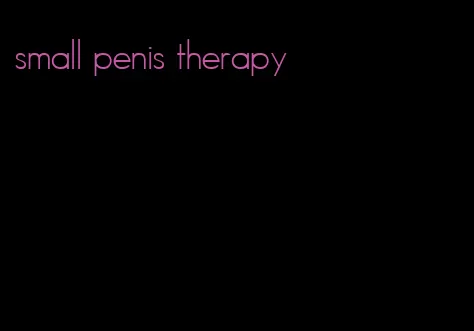 small penis therapy