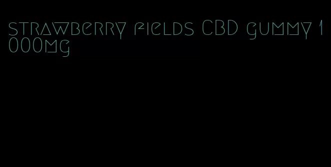 strawberry fields CBD gummy 1000mg