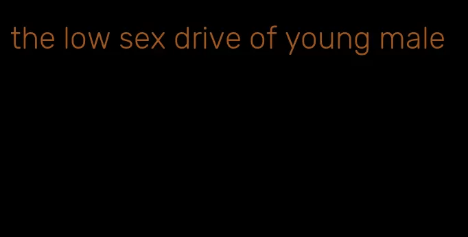 the low sex drive of young male