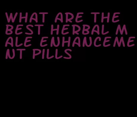 what are the best herbal male enhancement pills