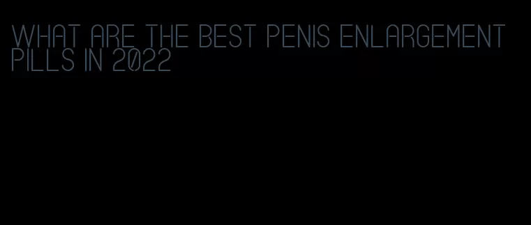 what are the best penis enlargement pills in 2022