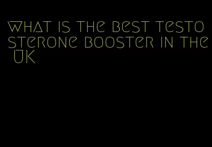 what is the best testosterone booster in the UK