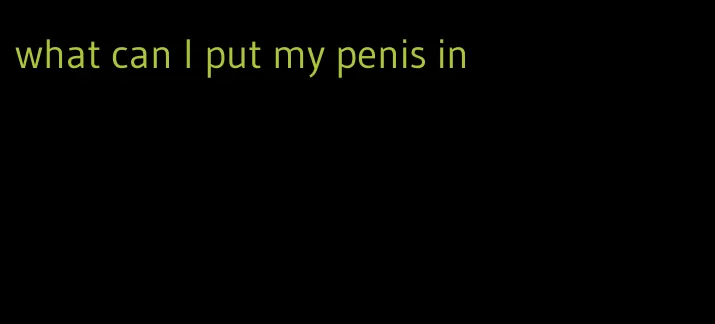what can I put my penis in