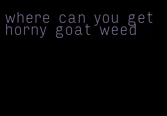 where can you get horny goat weed