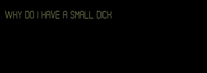 why do I have a small dick