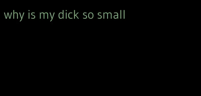 why is my dick so small