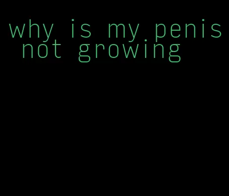 why is my penis not growing