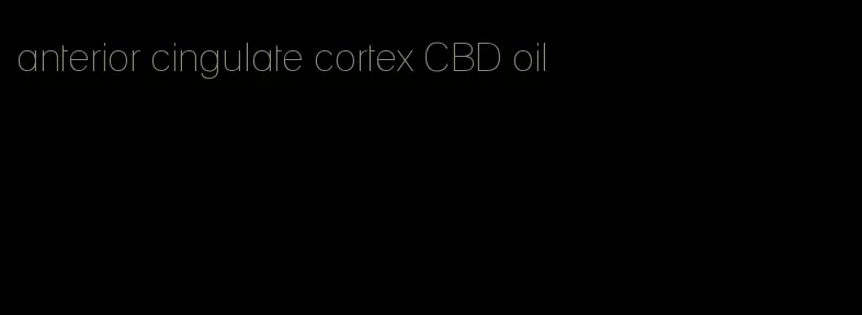 anterior cingulate cortex CBD oil